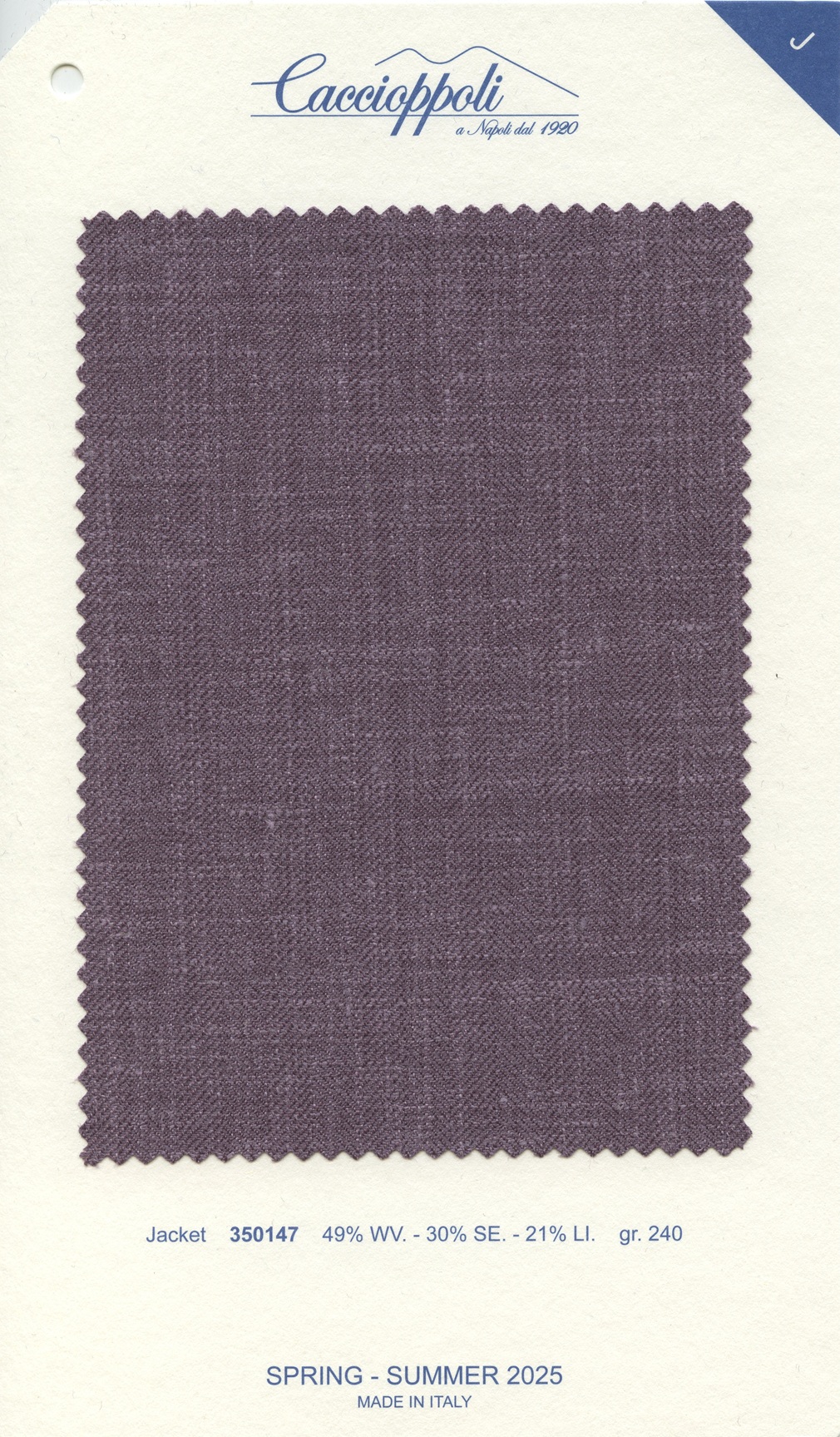 Caccioppoli-350147 fabric